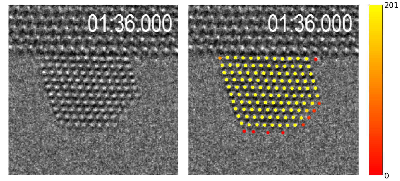 Figure 1: Surface diffusion - how often is a given atomic column occupied, as determined by a neural network.